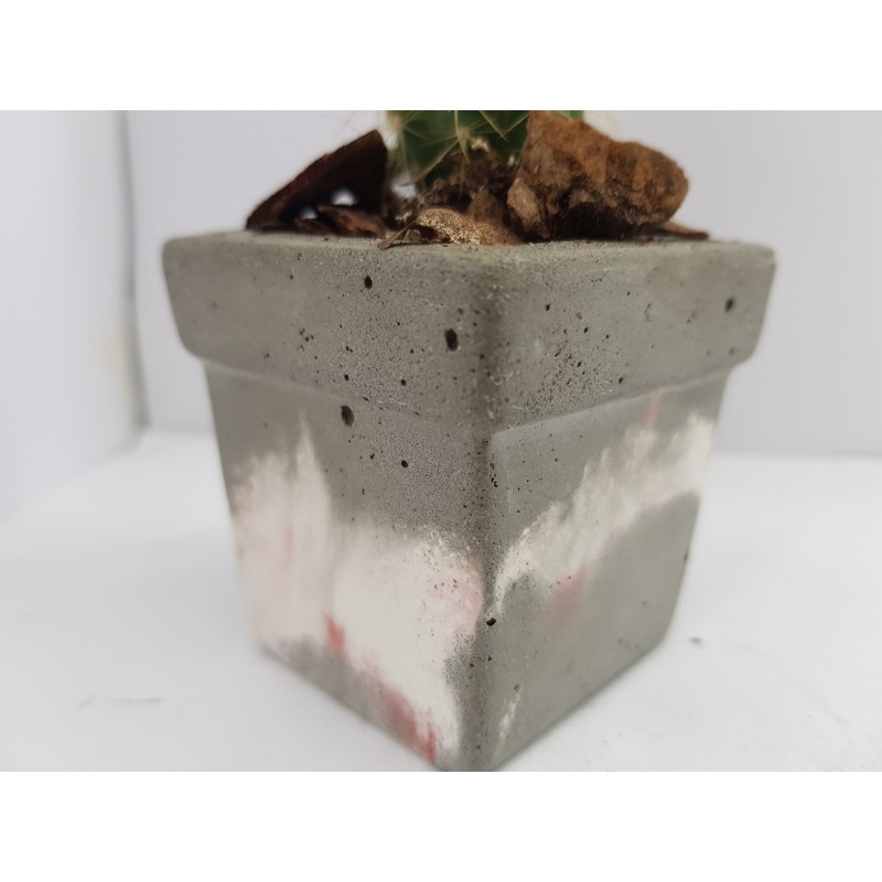 Cache-pot Planter Plant pot Flower plant pot Flower cache-pot