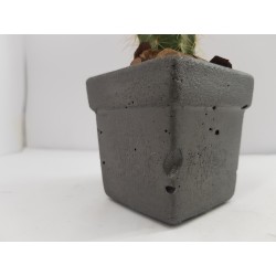 Desk Decoration Concrete Planter Concrete Plant Pot Pot for Plant Desk Planter