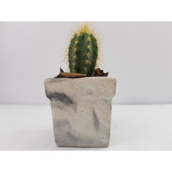 Succulent Planter Handmade Plant Pot Planter Flower Pot Cactus Planter