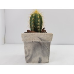 Succulent Planter Handmade Plant Pot Planter Flower Pot Cactus Planter