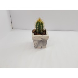 Succulent Planter Handmade Plant Pot Planter Flower Pot Cactus Planter