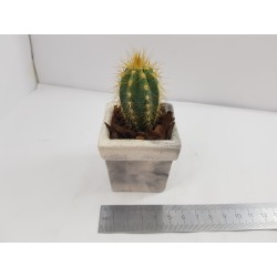 Succulent Planter Handmade Plant Pot Planter Flower Pot Cactus Planter