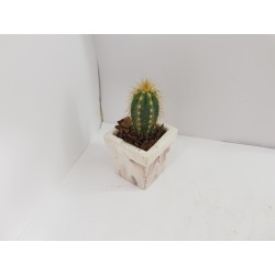 Desk Decoration Concrete Planter Concrete Plant Pot Pot for Plant Desk Planter