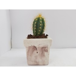 Desk Decoration Concrete Planter Concrete Plant Pot Pot for Plant Desk Planter