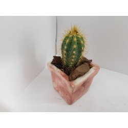 Succulent Planter Handmade Plant Pot Planter Flower Pot Cactus Planter