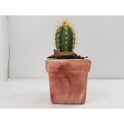 Succulent Planter Handmade Plant Pot Planter Flower Pot Cactus Planter