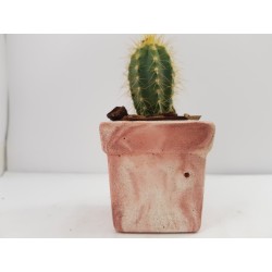 Succulent Planter Handmade Plant Pot Planter Flower Pot Cactus Planter