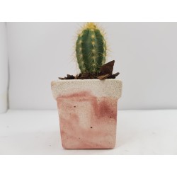 Succulent Planter Handmade Plant Pot Planter Flower Pot Cactus Planter