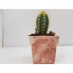 Succulent Planter Handmade Plant Pot Planter Flower Pot Cactus Planter