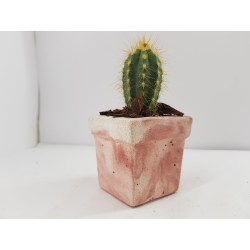 Succulent Planter Handmade Plant Pot Planter Flower Pot Cactus Planter