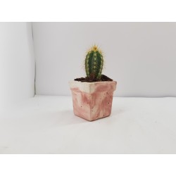 Succulent Planter Handmade Plant Pot Planter Flower Pot Cactus Planter