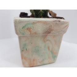 Desk Decoration Concrete Planter Concrete Plant Pot Pot for Plant Desk Planter