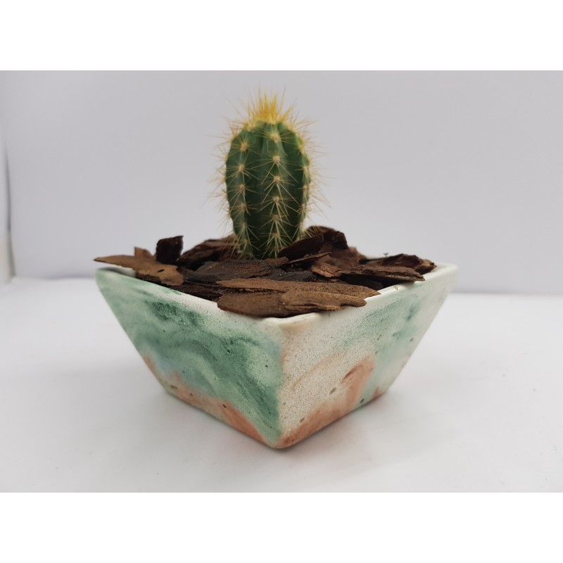 Cache-pot Planter Plant pot Flower plant pot Flower cache-pot