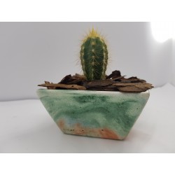 Cache-pot Planter Plant pot Flower plant pot Flower cache-pot