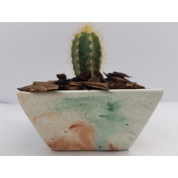 Cache-pot Planter Plant pot Flower plant pot Flower cache-pot