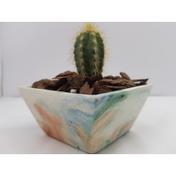 Cache-pot Planter Plant pot Flower plant pot Flower cache-pot