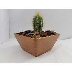 Succulent Planter Handmade Plant Pot Planter Flower Pot Cactus Planter