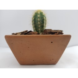 Succulent Planter Handmade Plant Pot Planter Flower Pot Cactus Planter