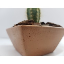 Succulent Planter Handmade Plant Pot Planter Flower Pot Cactus Planter