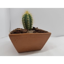 Succulent Planter Handmade Plant Pot Planter Flower Pot Cactus Planter