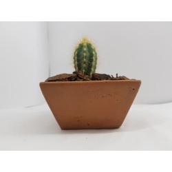 Succulent Planter Handmade Plant Pot Planter Flower Pot Cactus Planter