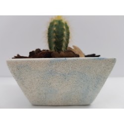 Desk Decoration Concrete Planter Concrete Plant Pot Pot for Plant Desk Planter