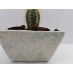 Desk Decoration Concrete Planter Concrete Plant Pot Pot for Plant Desk Planter