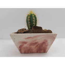 Cache-pot Planter Plant pot Flower plant pot Flower cache-pot