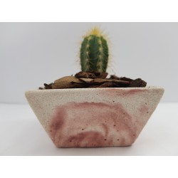 Cache-pot Planter Plant pot Flower plant pot Flower cache-pot