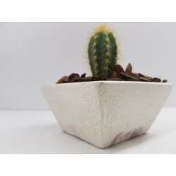 Succulent Planter Handmade Plant Pot Planter Flower Pot Cactus Planter