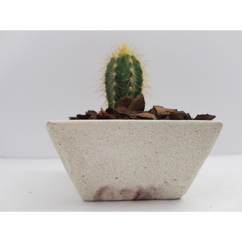 Succulent Planter Handmade Plant Pot Planter Flower Pot Cactus Planter