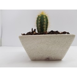 Succulent Planter Handmade Plant Pot Planter Flower Pot Cactus Planter