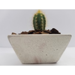 Succulent Planter Handmade Plant Pot Planter Flower Pot Cactus Planter