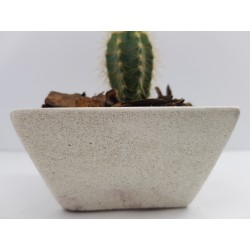 Succulent Planter Handmade Plant Pot Planter Flower Pot Cactus Planter