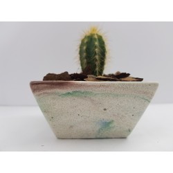 Desk Decoration Concrete Planter Concrete Plant Pot Pot for Plant Desk Planter