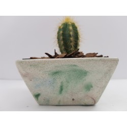 Desk Decoration Concrete Planter Concrete Plant Pot Pot for Plant Desk Planter