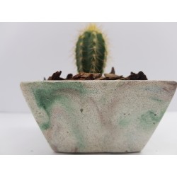 Desk Decoration Concrete Planter Concrete Plant Pot Pot for Plant Desk Planter