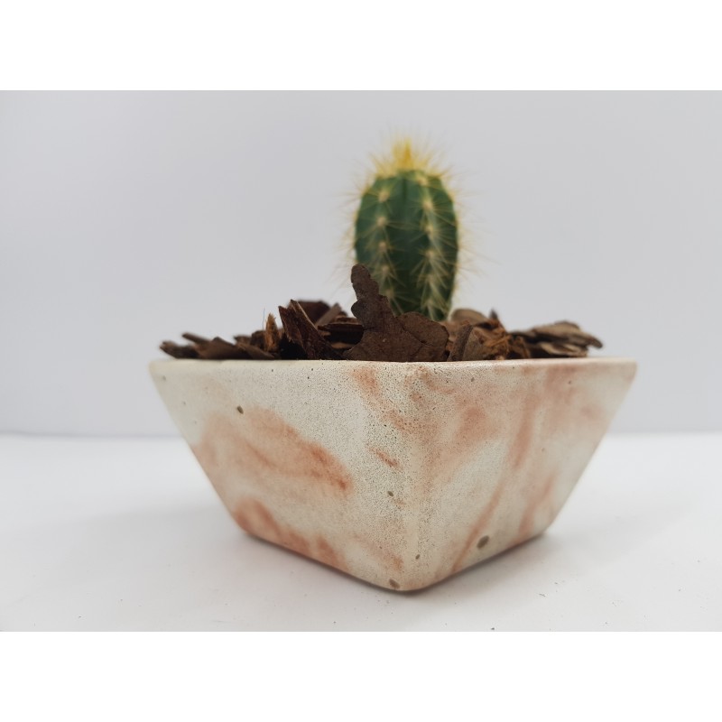 Succulent Planter Handmade Plant Pot Planter Flower Pot Cactus Planter