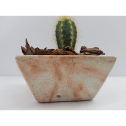 Succulent Planter Handmade Plant Pot Planter Flower Pot Cactus Planter