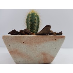 Succulent Planter Handmade Plant Pot Planter Flower Pot Cactus Planter