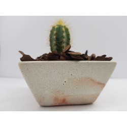 Succulent Planter Handmade Plant Pot Planter Flower Pot Cactus Planter