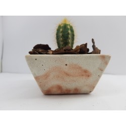 Succulent Planter Handmade Plant Pot Planter Flower Pot Cactus Planter