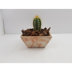 Succulent Planter Handmade Plant Pot Planter Flower Pot Cactus Planter