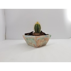 Desk Decoration Concrete Planter Concrete Plant Pot Pot for Plant Desk Planter