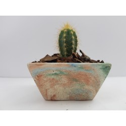 Desk Decoration Concrete Planter Concrete Plant Pot Pot for Plant Desk Planter