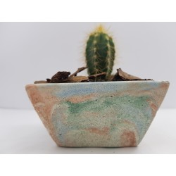 Desk Decoration Concrete Planter Concrete Plant Pot Pot for Plant Desk Planter