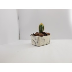 Succulent Planter Handmade Plant Pot Planter Flower Pot Cactus Planter