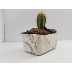 Succulent Planter Handmade Plant Pot Planter Flower Pot Cactus Planter