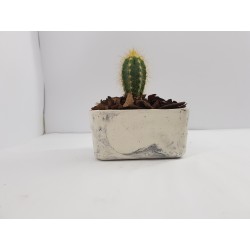 Succulent Planter Handmade Plant Pot Planter Flower Pot Cactus Planter