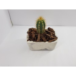 Succulent Planter Handmade Plant Pot Planter Flower Pot Cactus Planter